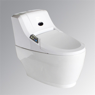 智能馬桶(座便器)品牌排行榜 衛(wèi)生潔具選購(gòu)指南