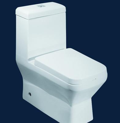 馬丁衛(wèi)浴MT-179虹吸式連體坐便器 價(jià)格、圖片與功能介紹