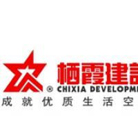 棲霞建設董事會決議公告 選舉江勁松為董事長、總裁及投資興辦實業
